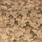 201103_camo_01