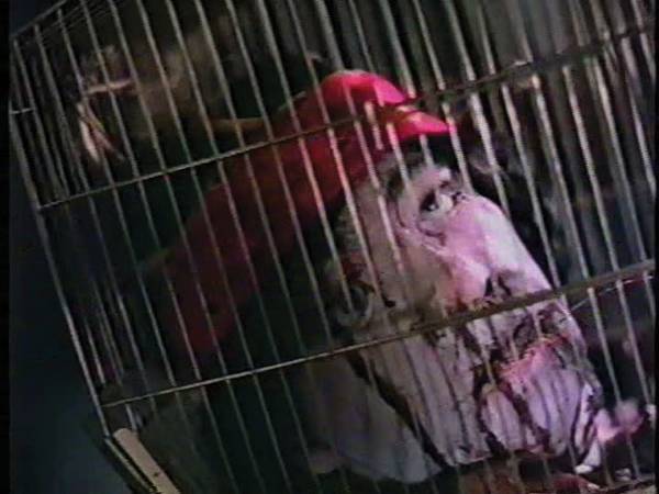 201206_vhs_06