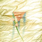 Miguel Florido, Wherever We Are