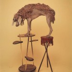 William Wegman, Fringed Set