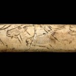 Portraits of three reindeer and an Ibex