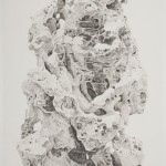 Tai Xiangzhou, Tai Hu Scholar’s Rock at Mi Wangzhong’s Shao Garden No. 2, 2012