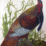 Laura Adams, Turkey.