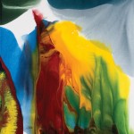 Paul Jenkins, Phenomena Elliptical Reckoning, 2007, acrylic on canvas, 73.25 x 64 inches.