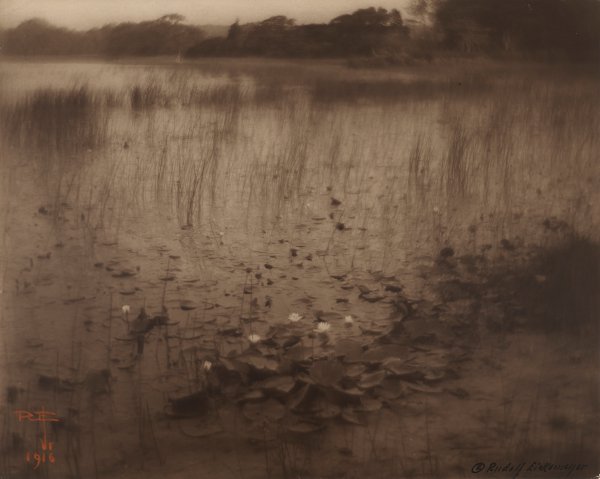 Rudolph Eickemeyer, The Lily Pond, 1916, gelatin sliver print, toned.