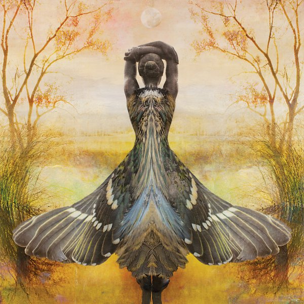 Sondra Wampler, Pluma Vestes