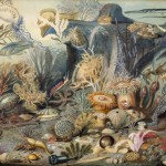Christian Schuessele (Schussele), Ocean Life, 1859