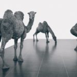 Nancy Graves, Camels