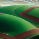 Grant Wood, Spring Turning, 1936