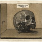 Andrea Andreani, after Giovanni Fortuna (?), A Skull, circa 1588
