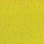 Larry Poons, top: Jessica’s Hartford, 1965